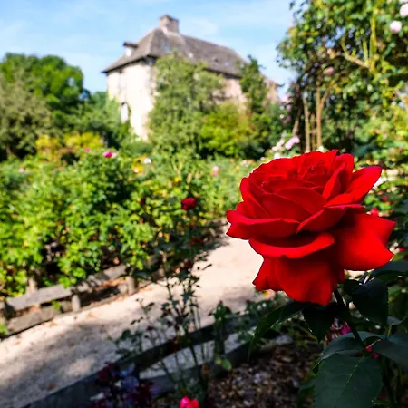 Chateau De Taussac